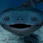 Ứ