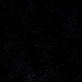đ