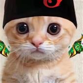 Đ