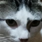 Đ