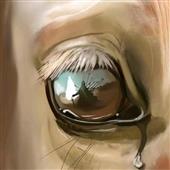 đ